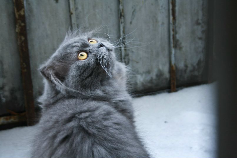 Аркадий Мурылёв | Москва