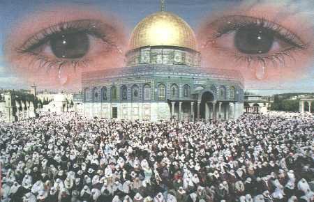 №70, Оксана Лукьяненко №70, Оксана Лукьяненко