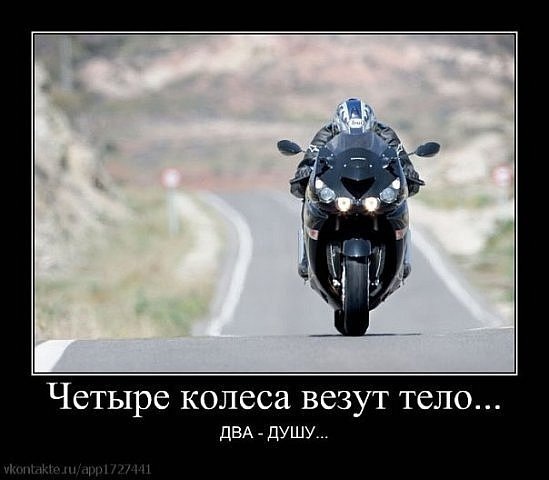 №3, Андрей Гузь, Ровно №3, Андрей Гузь, Ровно