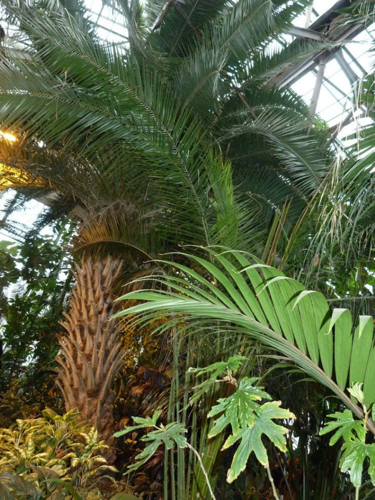 Аня Кушнир | Москва