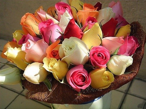 Эльмира Асанова | Белогорск