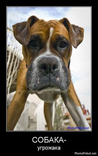 Юля Капелюшок | Киев