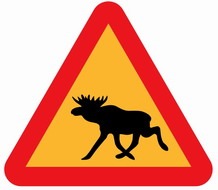 №32, Вячеслав Сакович, 34 года, Николаев №32, Вячеслав Сакович, 34 года, Николаев