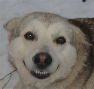 Мария Комкова | Москва