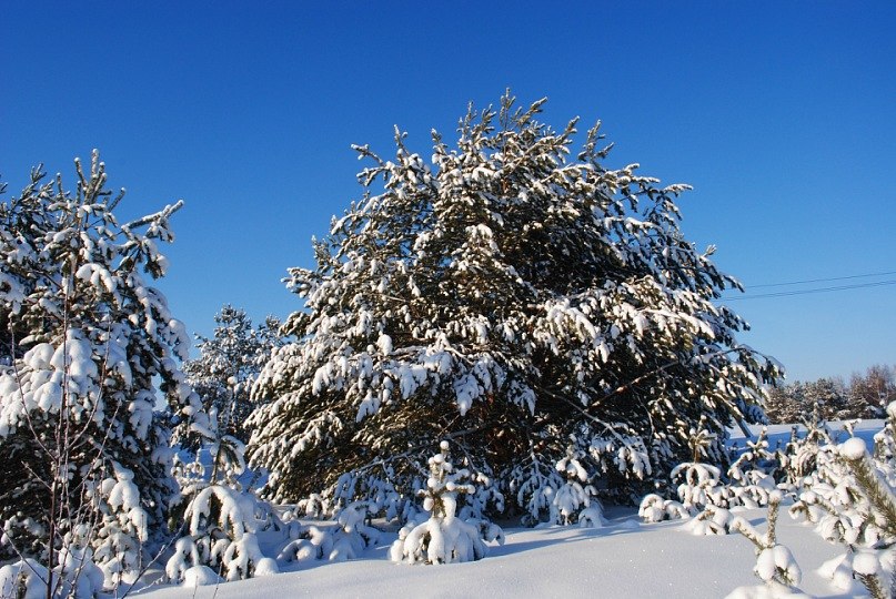 Виктор Перелыгин | Москва