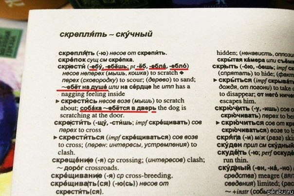№77, Василий Рогов, Санкт-Петербург, Россия №77, Василий Рогов, Санкт-Петербург, Россия