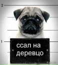 №4 Виолетта Максимова 16.02.1989: профиль, фото, статус - ВКонтакте №4 Виолетта Максимова 16.02.1989: профиль, фото, статус - ВКонтакте
