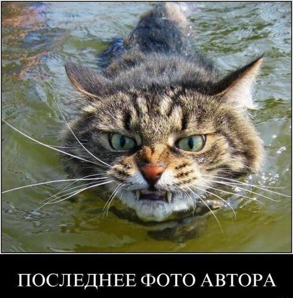 №13, Борис Шалабанов №13, Борис Шалабанов