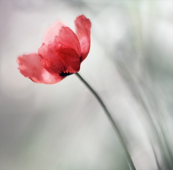 Alexandra Adiatu | Lagos