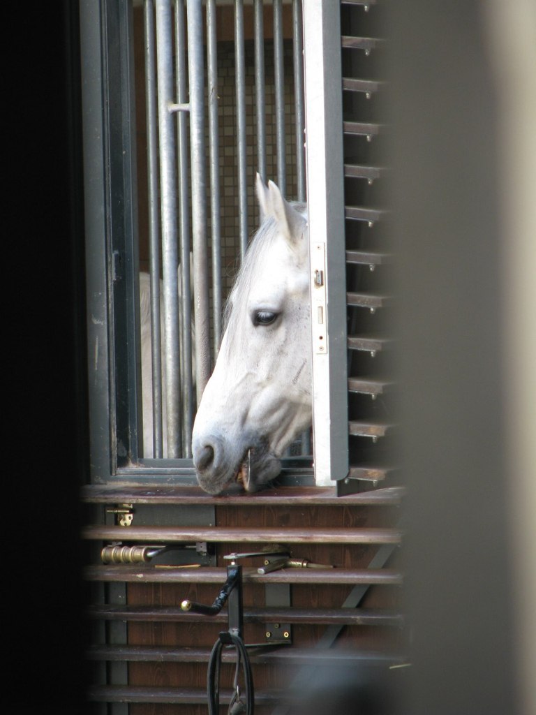 Стелла Окуница | Тула