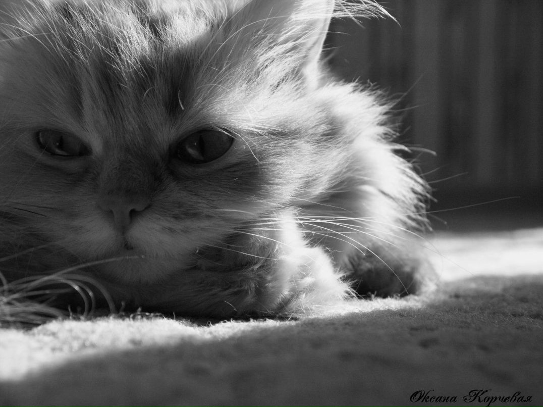 Оксана Тятюшкина | Челябинск