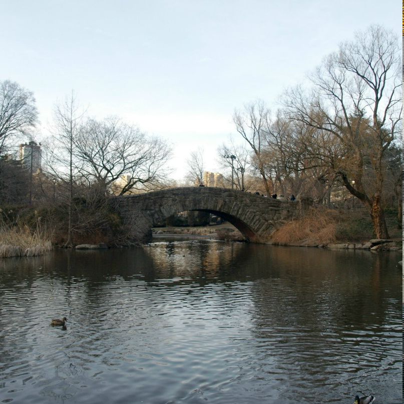 Ксения Зобачева | New York City