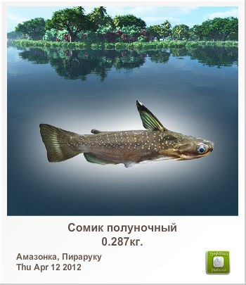 Дмитрий Беликов treeton | 