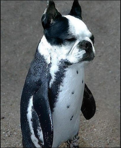 Нина Гирняк | 