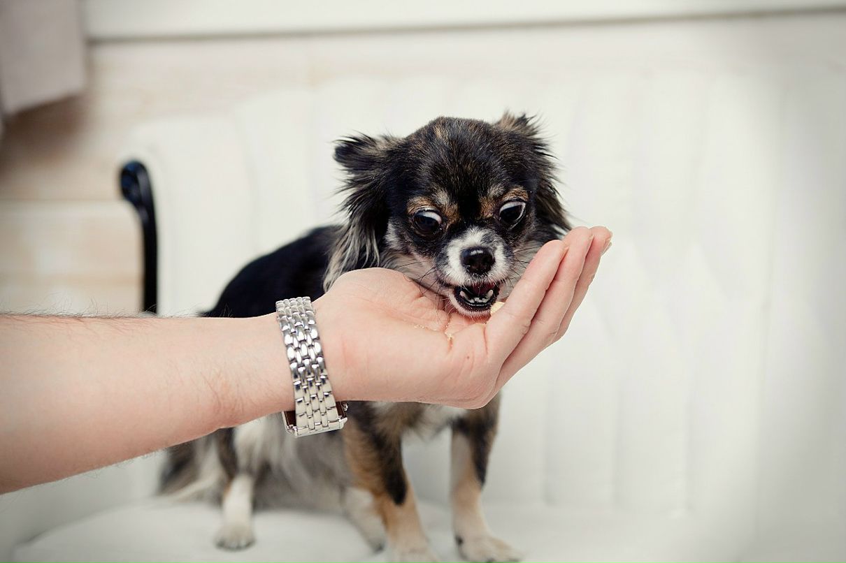 Вероника Токунова | Санкт-Петербург