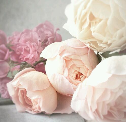 My Taratata | Москва