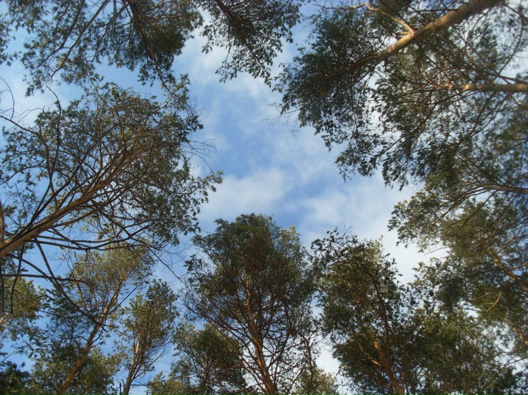 Альбина Нигаматуллина | Челябинск