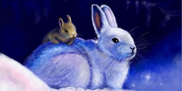 №43, Юліанна Попадюк, Черновцы №43, Юліанна Попадюк, Черновцы