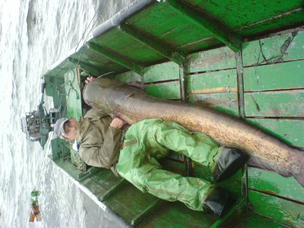 №90, Виктор Герен, 44 года, Днепр (Днепропетровск) №90, Виктор Герен, 44 года, Днепр (Днепропетровск)