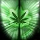 Артем Сус | Житомир