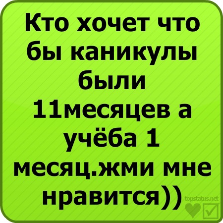 №41, Влада Львова, Мелитополь №41, Влада Львова, Мелитополь