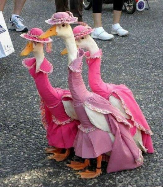 №10, Олександр Бука, Черкассы №10, Олександр Бука, Черкассы