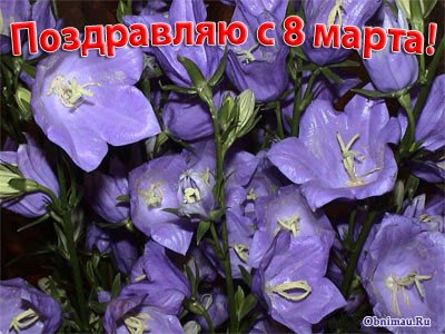 Дашуля Андреева | Санкт-Петербург