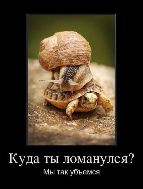 Татьяна Дмитриева | Архангельск