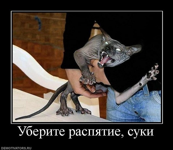 №172, Серж Томилов, 40 лет, Омск №172, Серж Томилов, 40 лет, Омск