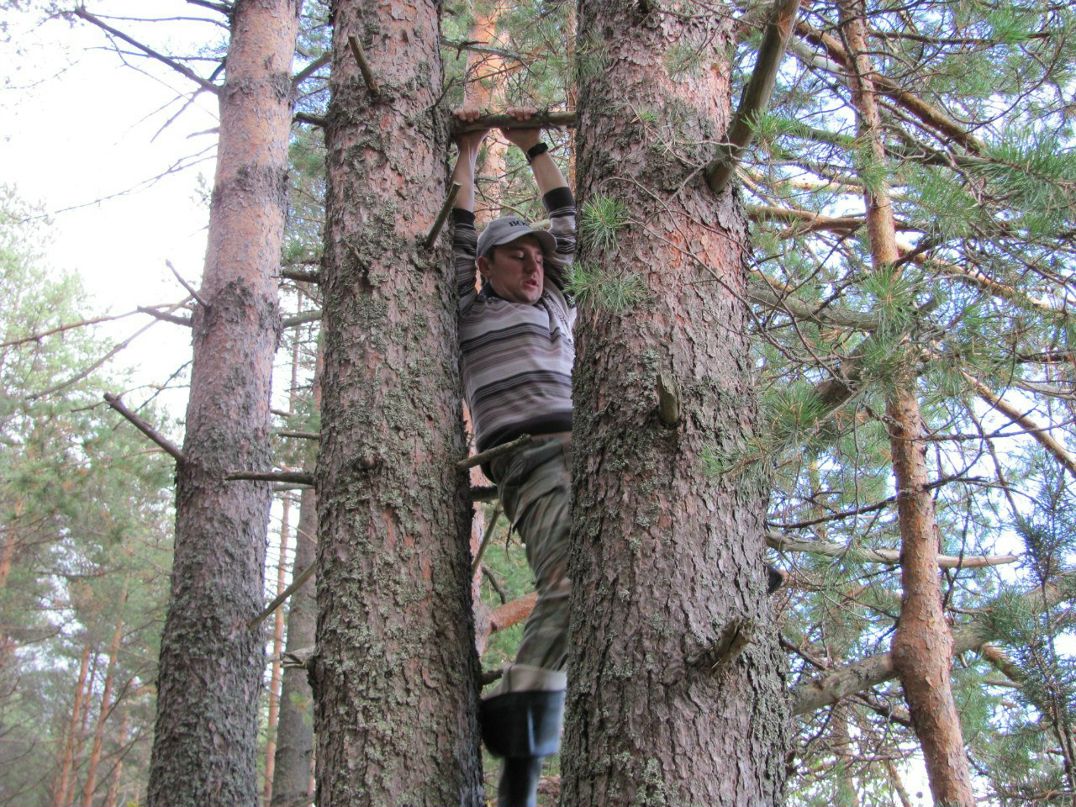 Илья Вишневой 