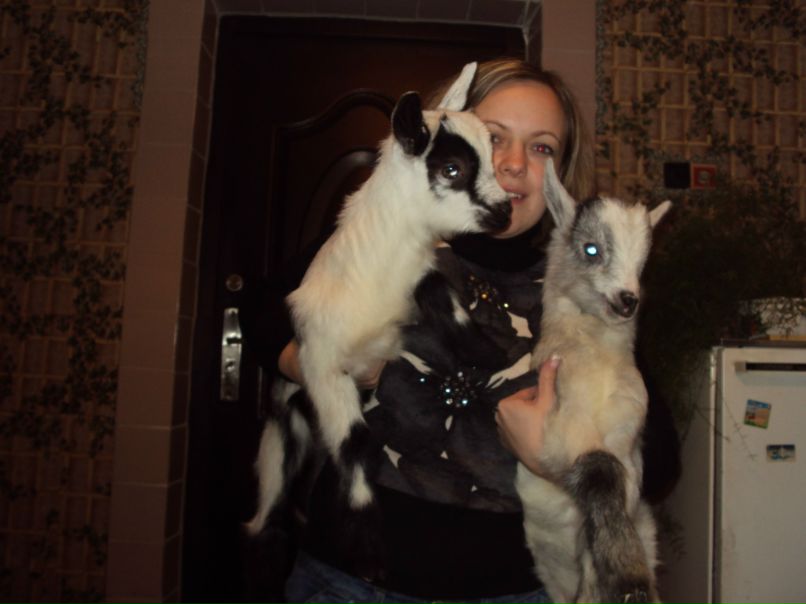 Инна Власюк | Обухов