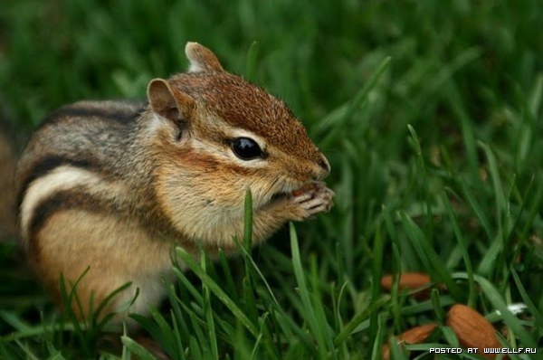 Александра Власова | Киев