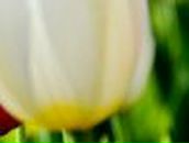 Анна Сидорова | Мариуполь