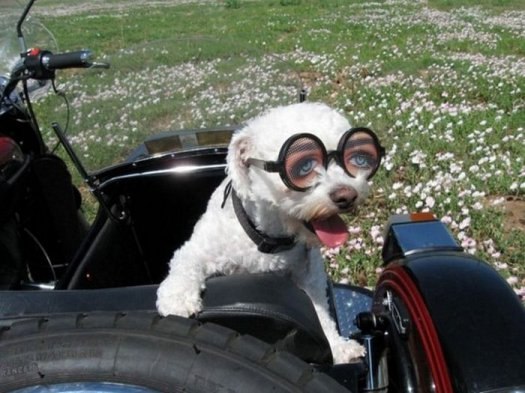 Станислав Михаленков | Москва