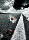 Фотография Игрок 999