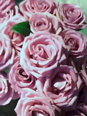 Елена Кабак | Запорожье