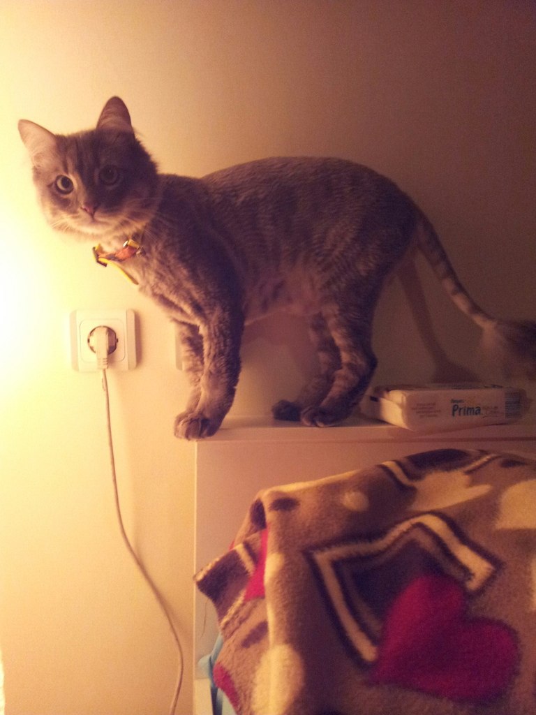 Марина Евсеева | Жуковский