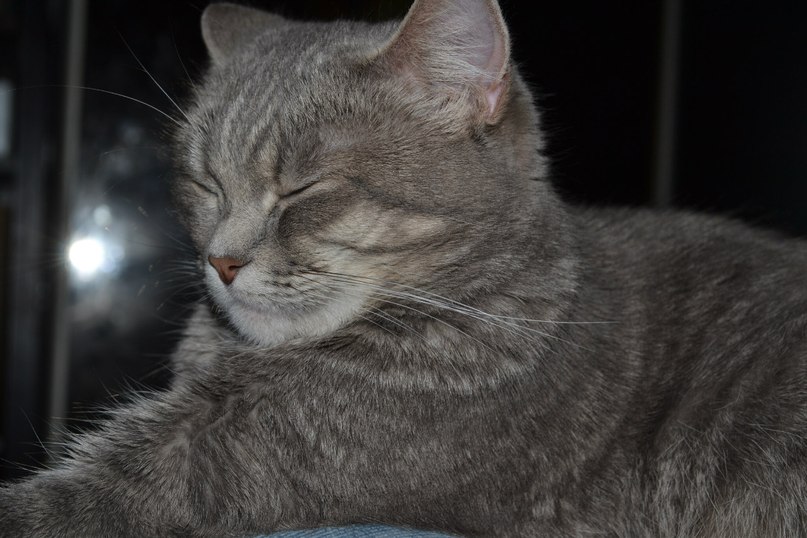 Сёмка Бухарев | Санкт-Петербург