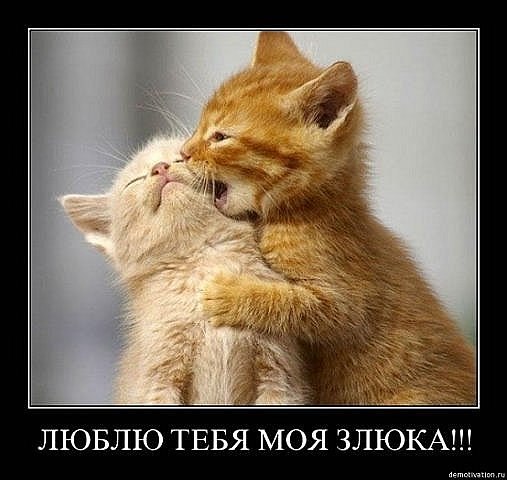 Кира Пластинина | 