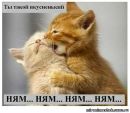 №19 Даша Герилович 04.06.1996: профиль, фото, статус - ВКонтакте