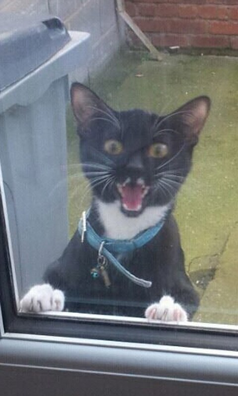 Дмитрий Крутиков | Нижний Новгород