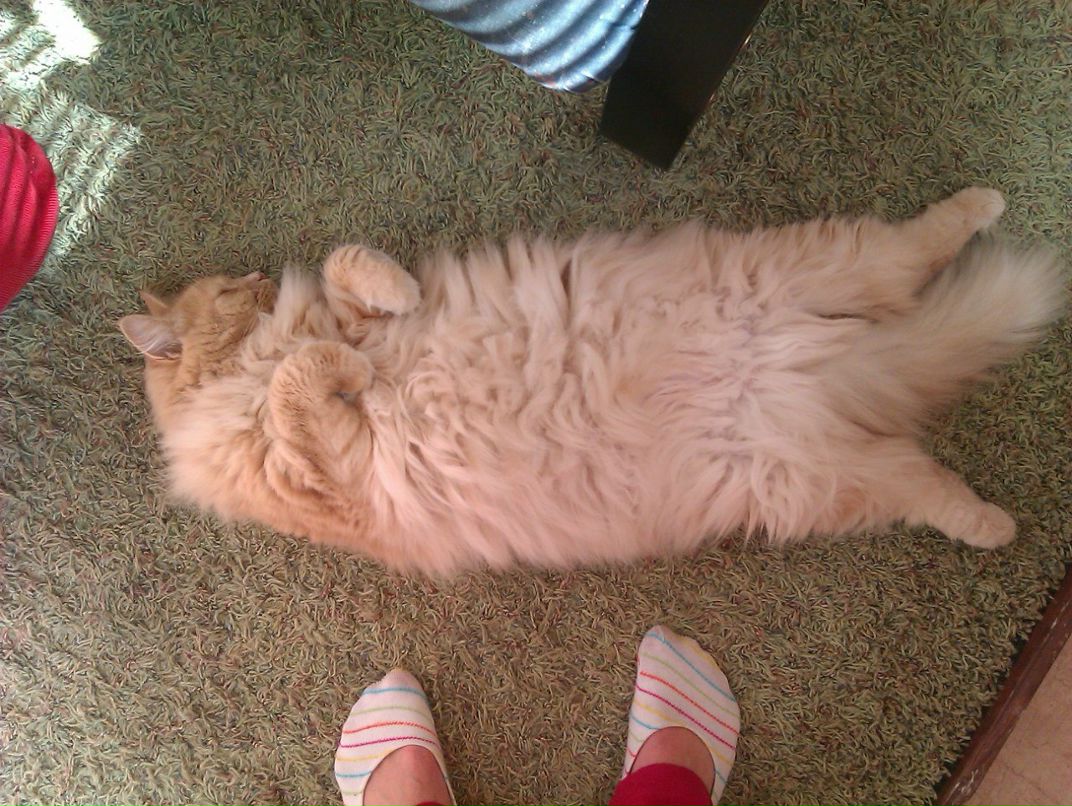 Виктория Волобуева | 