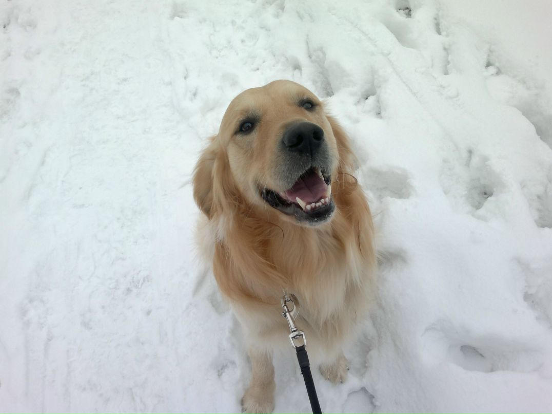 Дмитрий Черноляхов ())---DIMON--- | Москва