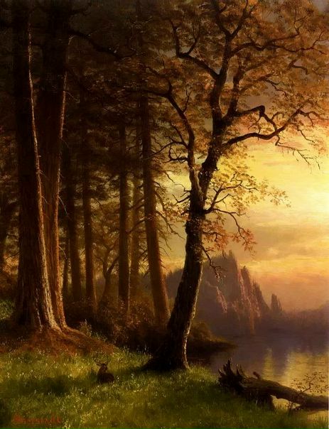 №53, Иван Гаврилов, Санкт-Петербург №53, Иван Гаврилов, Санкт-Петербург