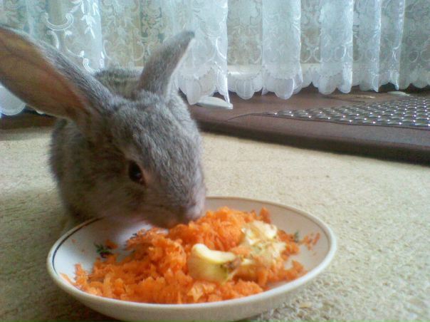 №1, Валерия Козлова №1, Валерия Козлова