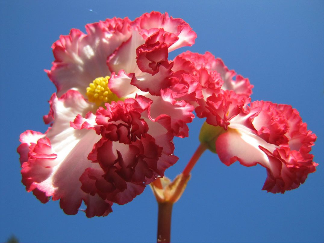 Ольга Матвеева | Санкт-Петербург