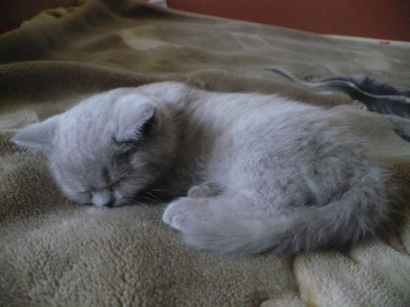 Галина Тарасова | 