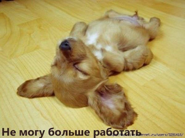 Александр Решетняк | Сергиев Посад