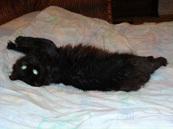 №16, Елена Ормова №16, Елена Ормова