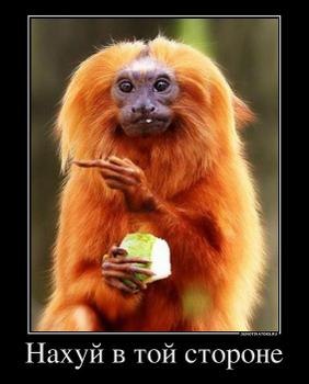 Валентин Рамазанов | Череповец